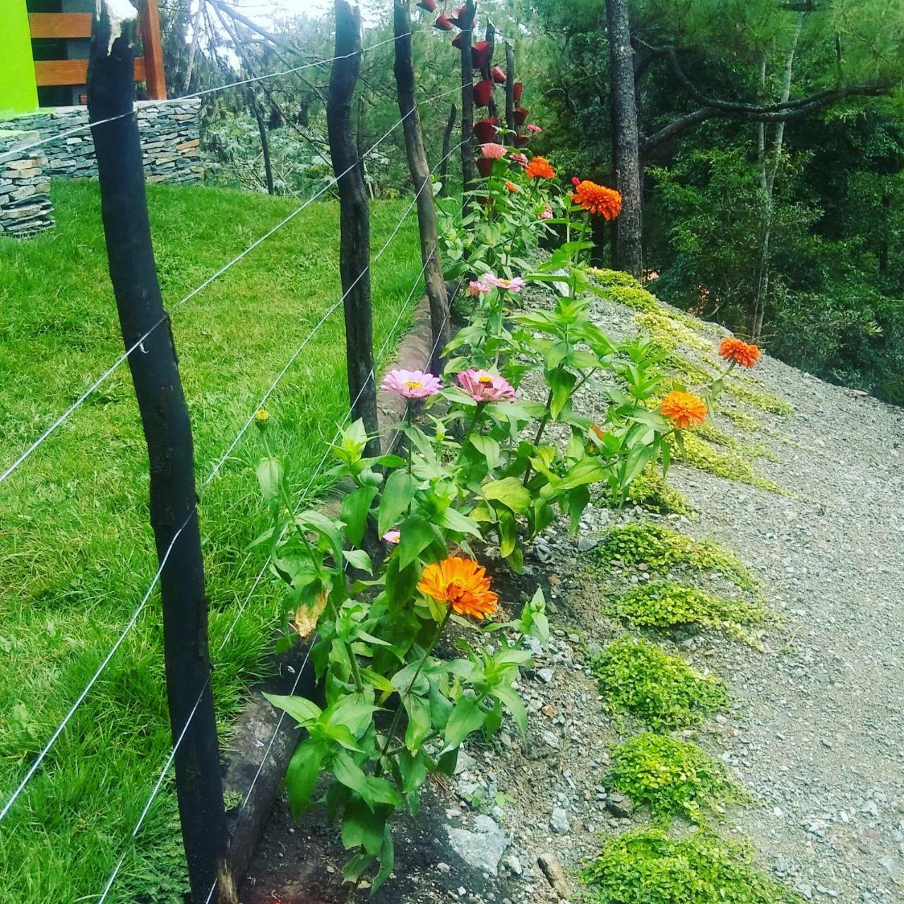 Mi Hogar Jarabacoa Apartman Kültér fotó
