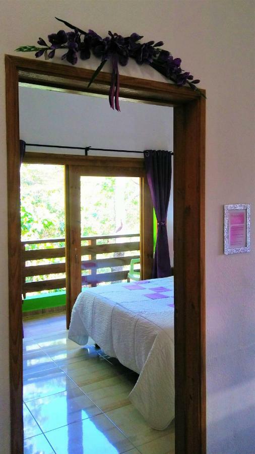 Mi Hogar Jarabacoa Apartman Kültér fotó
